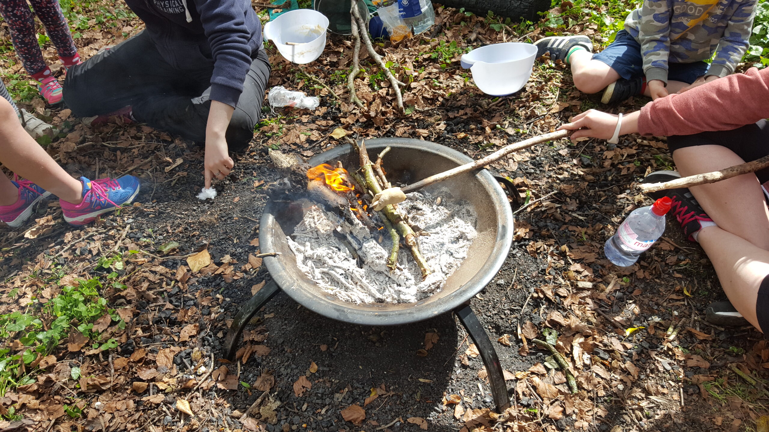 Forest School Camp Fire