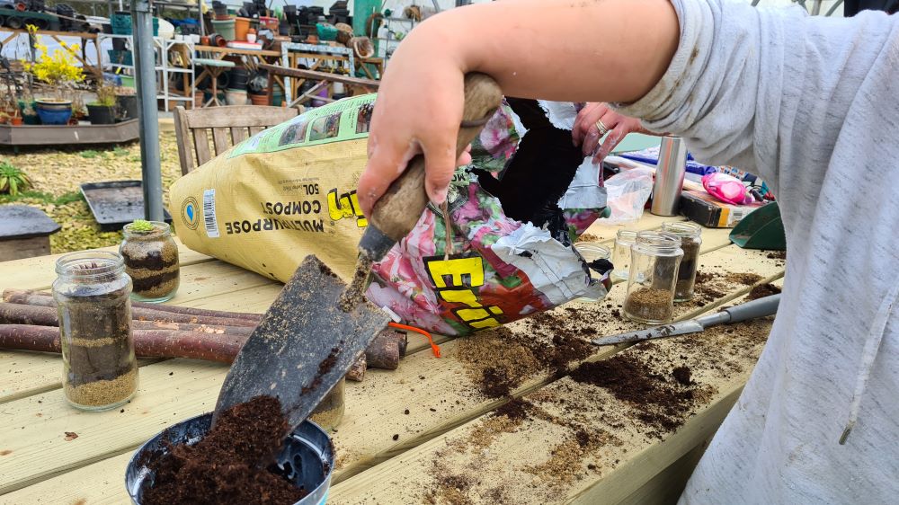 Forest School Planting Terrariums and Bulbs