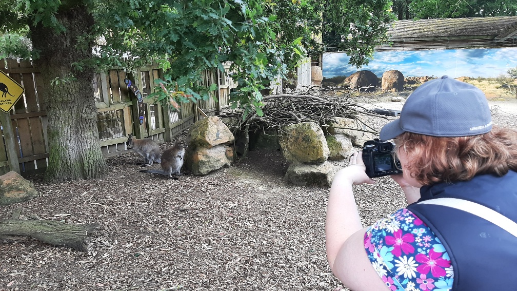 Sam taking a photograph of  a wallaby.