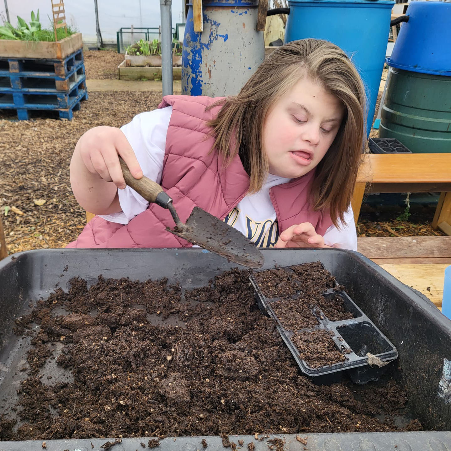 Growing flowers at Dig 'n' Grow Guideposts in Witney, Oxfordshire.