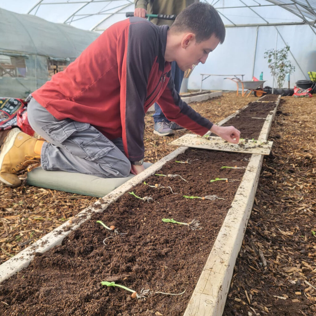 Planting seeds at Dig 'n' Grow Guideposts in Witney, Oxfordshire.