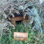 a small wooden shelter in the grass, covered in foliage with a sign saying Hedgehogs