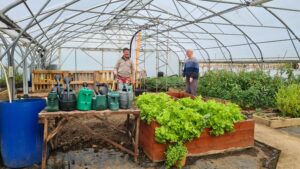 A gardening scene with two men in a large greenhouse, with a row of watering cans in front of them, and lots of green foliage spilling from planters.