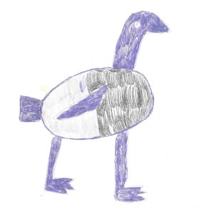 Pencil drawing of a bird with purple head, neck, legs, wing and tail and grey feathers